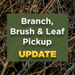 Leaf & Branch Pick-up