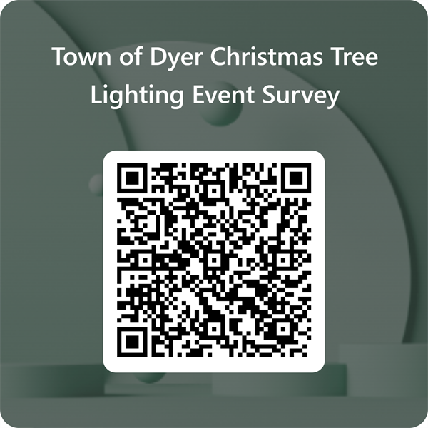 2024 Tree Lighting Survey